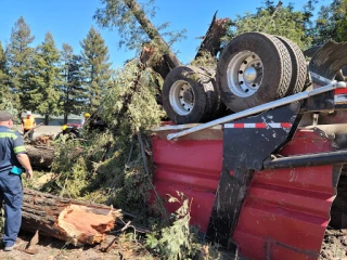 Cream's Towing JunkYard in Santa Rosa (CA) - photo 4