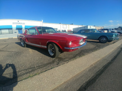 Mustang Paradise JunkYard in Colorado Springs (CO) - photo 2