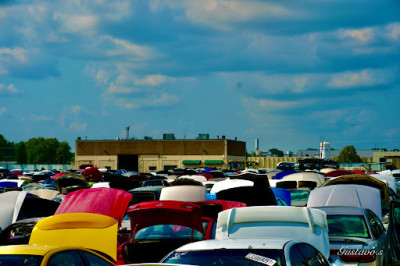 Aurora U-Pull-It JunkYard in Aurora (IL) - photo 3