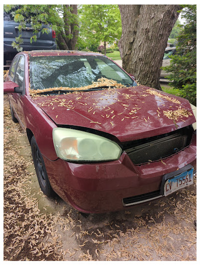 Top Dollar Junk Cars JunkYard in Alsip (IL) - photo 2