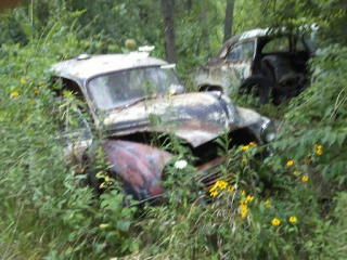 Callear Autos & Parts JunkYard in Peoria (IL) - photo 4