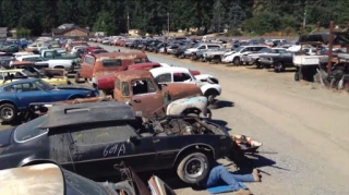 Dick's U Pull It JunkYard in Spanaway (WA) - photo 3