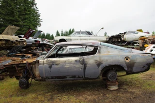 Wildcat Auto Wrecking JunkYard in Sandy (OR) - photo 3