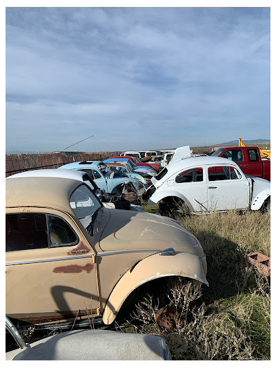 Bug Ranch Idaho JunkYard in Meridian (ID) - photo 4