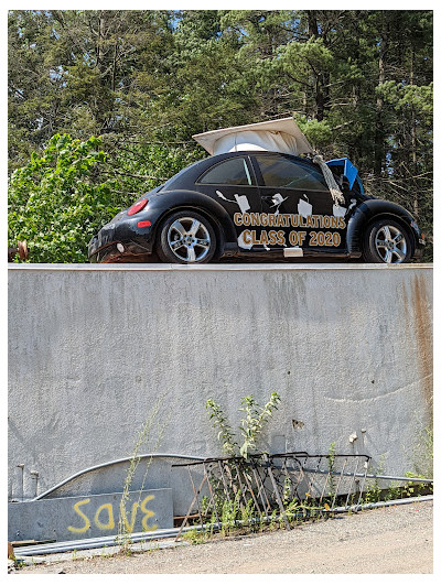 Car Heaven Junk Car Removal JunkYard in Berlin Township (MA) - photo 3