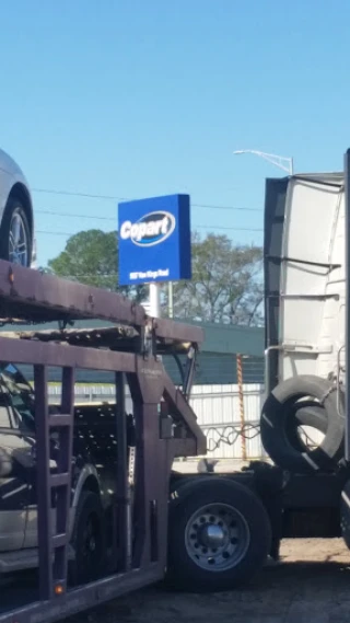 Copart - Jacksonville East JunkYard in Jacksonville (FL) - photo 3