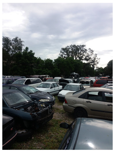 Ben's Auto Salvage JunkYard in New Port Richey (FL) - photo 3