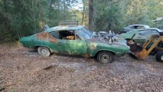 Xtreme Junk Cars - photo 1