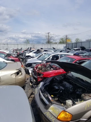 Classic Used Auto Parts JunkYard in West Haven (CT) - photo 4