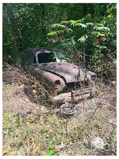 Red Bank Auto Parts JunkYard in Evansville (IN) - photo 2