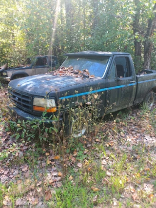 Red Bank Auto Parts JunkYard in Evansville (IN) - photo 4