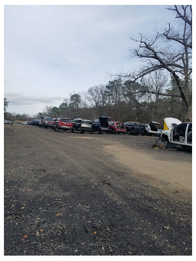 Martin's Auto Salvage, Inc. JunkYard in Raleigh (NC) - photo 4