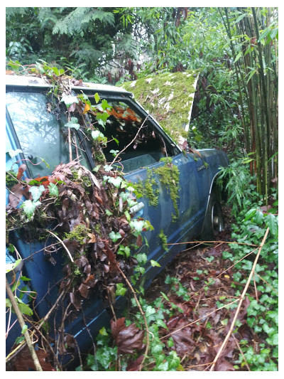 R & R Recycling JunkYard in Tacoma (WA) - photo 3