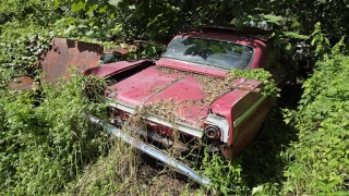 Donald Dagley's Workshop JunkYard in Atlantic Beach (FL) - photo 2