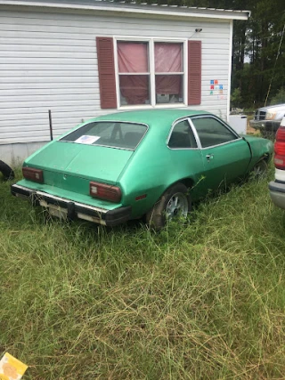 Chad's Salvage Yard JunkYard in Dothan (AL) - photo 4