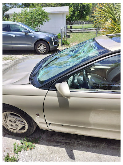 Tallahassee - Car Buyers JunkYard in Tallahassee (FL) - photo 3