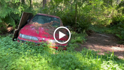 Bellevue Junk Car Removal JunkYard in Bellevue (WA) - photo 2