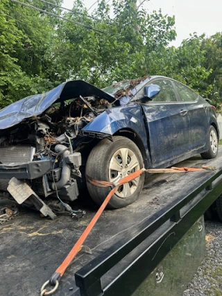 E's EZ Auto Salvage JunkYard in Richmond (VA) - photo 3