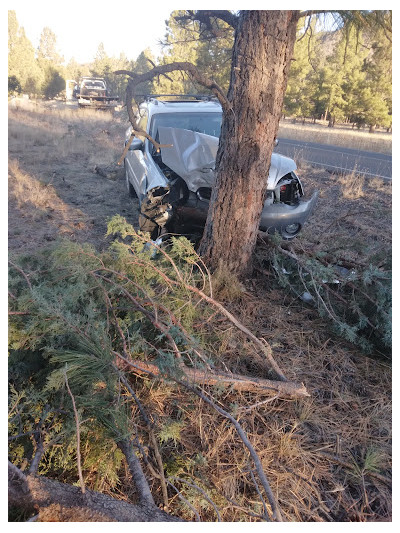 Paiges Towing JunkYard in Avondale (AZ) - photo 4