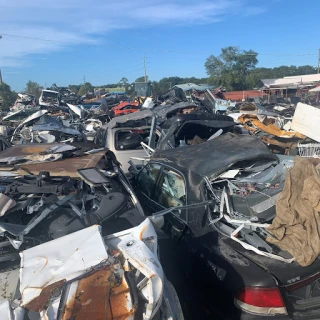 Scrap It III/Bartow Auto Salvage - photo 1