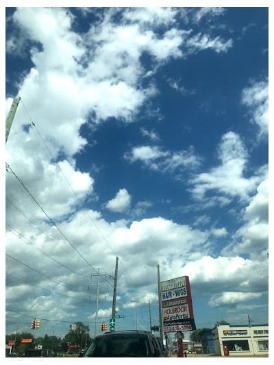 Holbrook Auto Parts 8 Mile & Van Dyke JunkYard in Detroit (MI) - photo 2