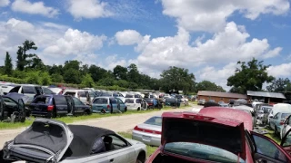 Gavins Auto Salvage JunkYard in Ocala (FL) - photo 1