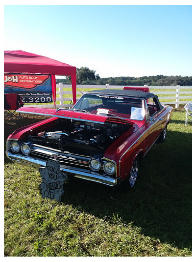 Copart - Ocala JunkYard in Ocala (FL) - photo 4