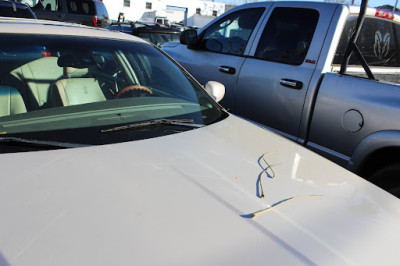 Junk Car Pros JunkYard in New Bedford (MA) - photo 1