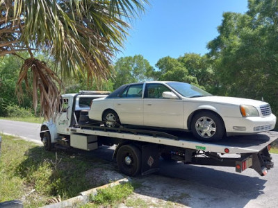 863 buy$ junkcar$ JunkYard in Lakeland (FL) - photo 3