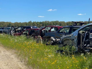 Brandywine U-Pull-It JunkYard in Waldorf (MD) - photo 3