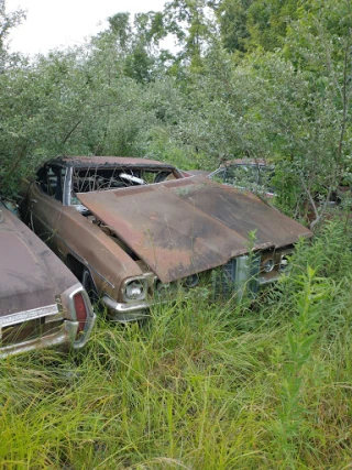 Eaton's auto salvage JunkYard in Champaign (IL) - photo 1