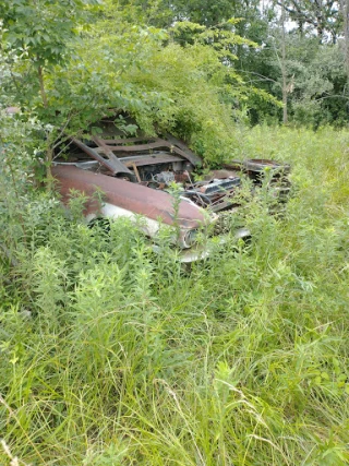 Eaton's auto salvage JunkYard in Champaign (IL) - photo 4