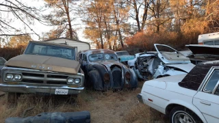 Bonanza Auto Dismantlers JunkYard in Sacramento (CA) - photo 2