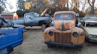 Bonanza Auto Dismantlers JunkYard in Sacramento (CA) - photo 3