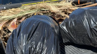 Vegas Desert Hauling Junk Removal - photo 1