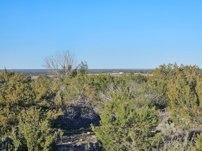 El Dorado JunkYard in Dallas (TX) - photo 3