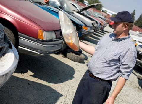 Big Dog Auto Salvage JunkYard in Winston-Salem (NC)