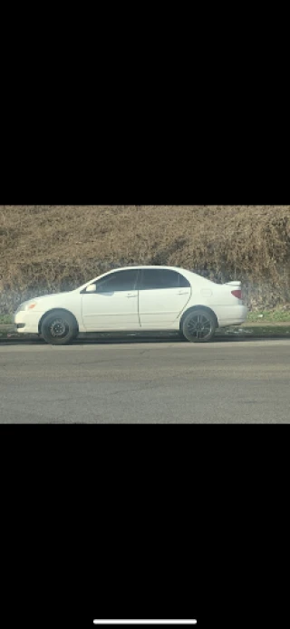 Tidewater Cash Four Cars JunkYard in Jacksonville (FL) - photo 4