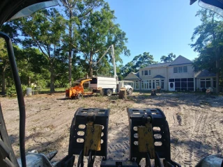 Real Tree And Debris Removal - photo 1