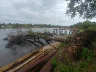 Real Tree And Debris Removal JunkYard in Jacksonville (FL) - photo 3