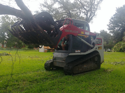 Real Tree And Debris Removal JunkYard in Jacksonville (FL) - photo 4