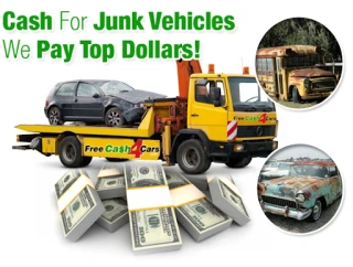 Cash for Cars JunkYard in West Palm Beach (FL) - photo 2