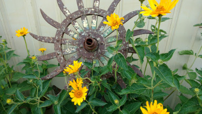 Sandhill Auto Salvage JunkYard in Cedar Rapids (IA) - photo 1