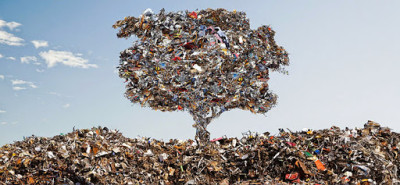 Trademark Metals Recycling JunkYard in Clearwater (FL) - photo 1