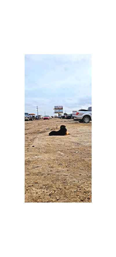 I30 AUTO RECYCLERS JunkYard in Allen (TX) - photo 2