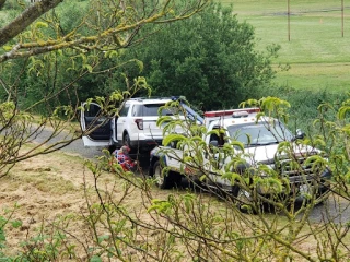 Rescue Towing JunkYard in Seattle (WA) - photo 3