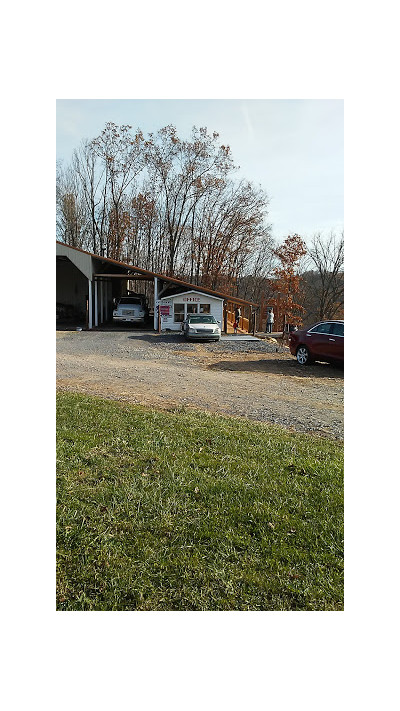 Salisbury Auto Salvage JunkYard in Salisbury (MD) - photo 2