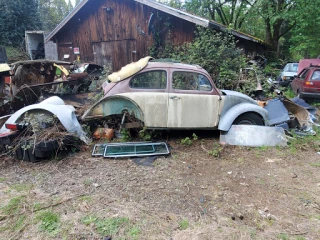 Pat's Import Auto LLC JunkYard in Portland (OR) - photo 1