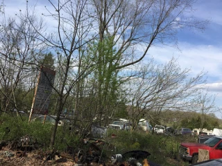 I-44 Auto Salvage JunkYard in Cincinnati (OH) - photo 2