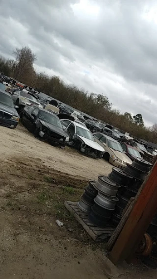 All Foreign Auto JunkYard in Houston (TX) - photo 2